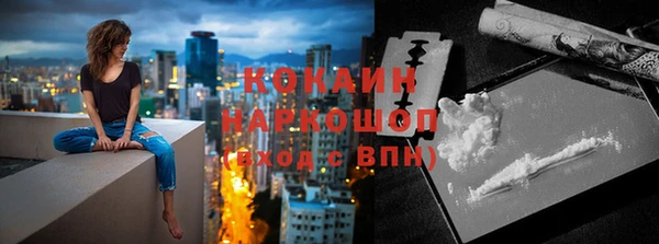 прущие грибы Козловка
