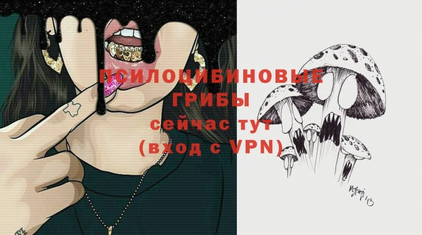 метамфетамин Козельск