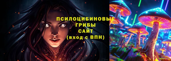 spice Кодинск