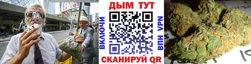 Купить закладки  Аргун  Конопля AK-47 